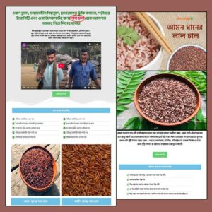 Red Rice - Cartflows Landing Page